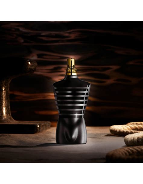 le male le parfum fragrantica